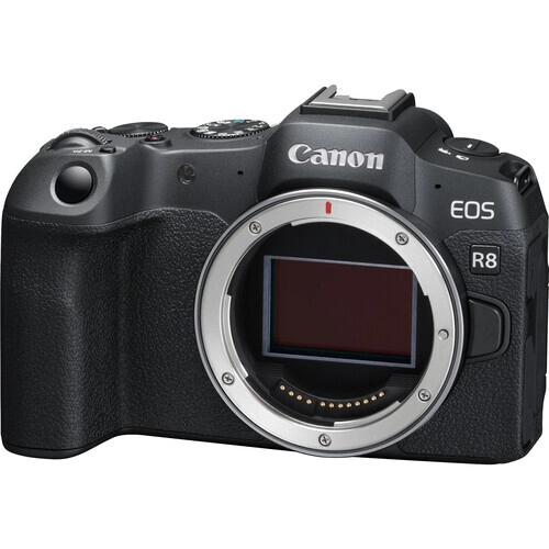 Canon%20EOS%20R8%20RF%2024-105mm%20f/4-7.1%20IS%20STM%20Lens%20Kit