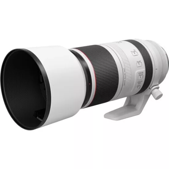 Canon RF 100-500mm f/4.5-7.1 L IS USM Telefoto Zoom Lens