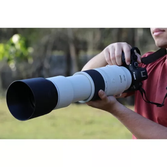 Canon RF 200-800mm f/6.3-9 IS USM